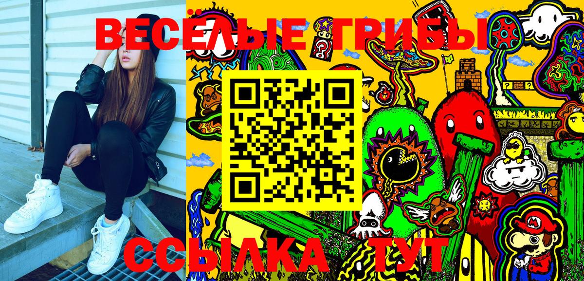 Галлюциногенные грибы Psilocybe  Вход с VPN  Карпинск 